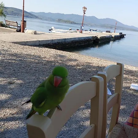 Konstantinos